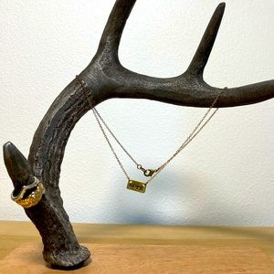 UO Antler jewelry hanger